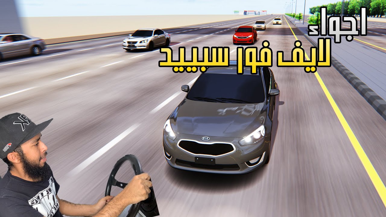 اسيتوكورسا | استرجاع ذكريات جغد وجغيد داخلي وخارجي سوناتا وكادينزا