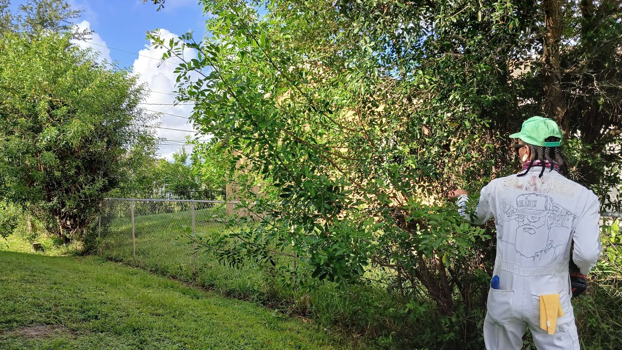 Surprising My Sister With a FREE Fence Line Transformation (She Works So Hard 💔)