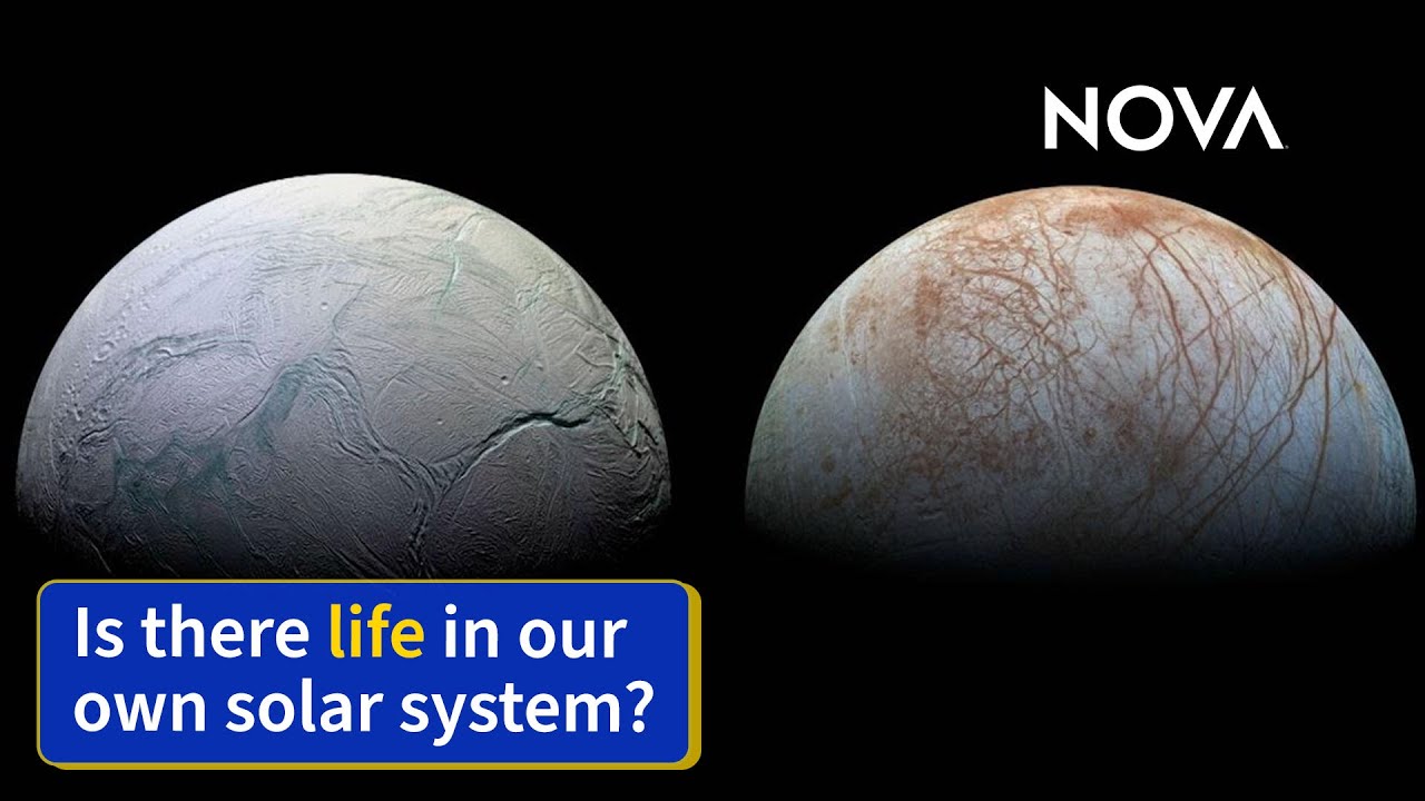 JWST Searches for Life in Our Solar System