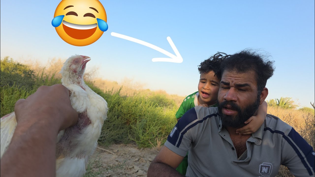 الكوري يخاف من الدجاجة !!😅