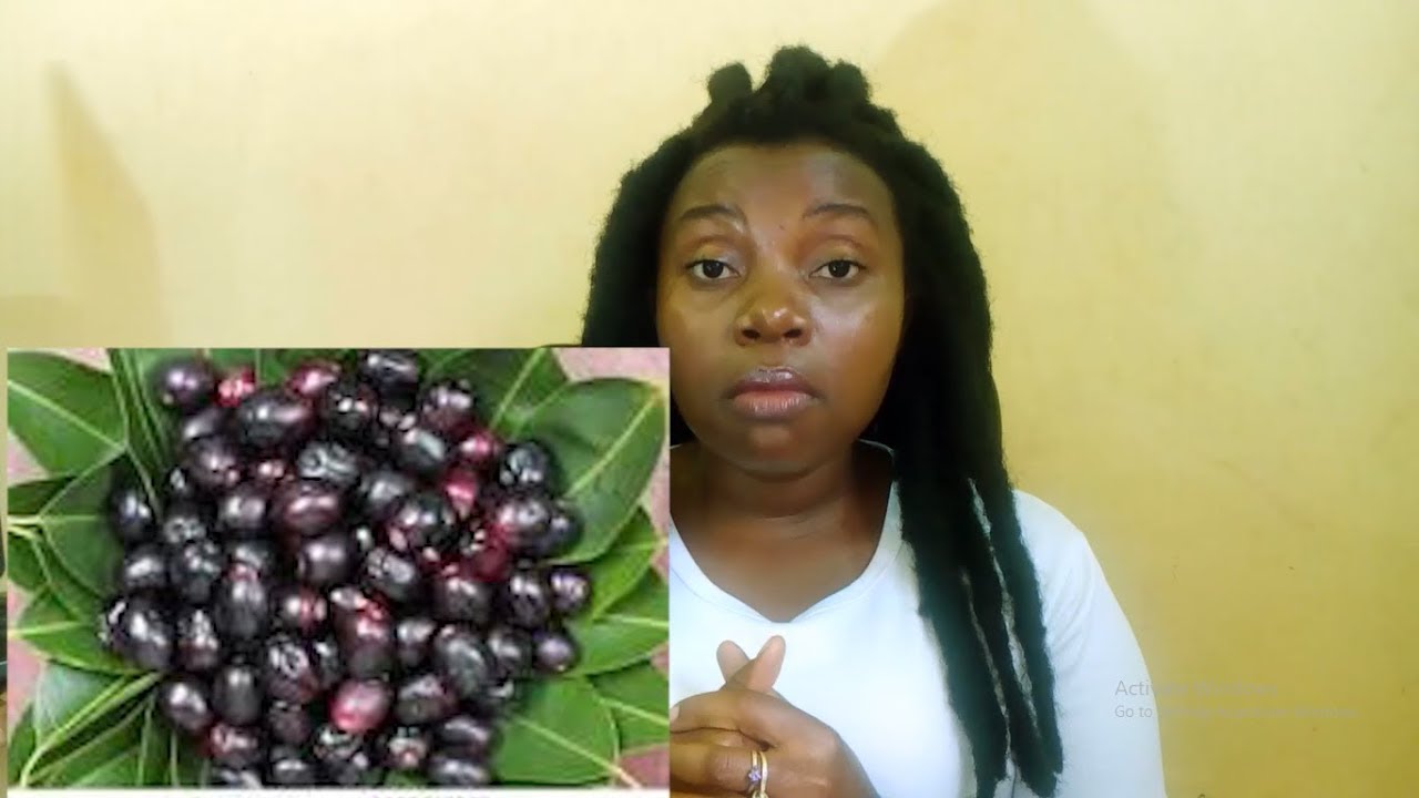 JAMBULA (ENZIKU,ENSEKE)