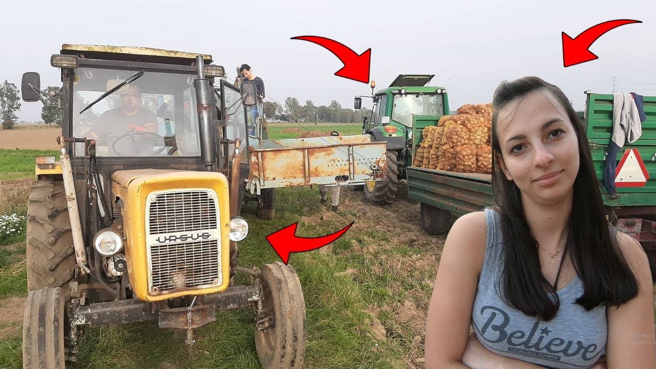 Wykopki Ziemniaków 2019 z Narzeczoną! ☆Polska Wieś ☆Ursus C-360 3P