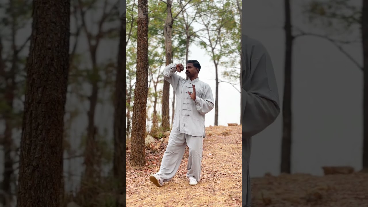 Taichi qi gong 3 #qigongindia #qigongtamilnadu #taichiqigong #taichitamilnadu #taichiindia #shiyandu