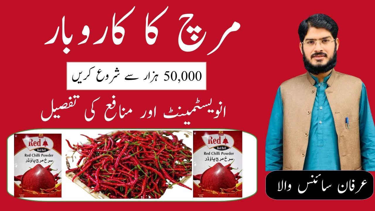 03096141114 | How to start Red Chilli business /best business/Red chilli kay qarobar karna ka tarika