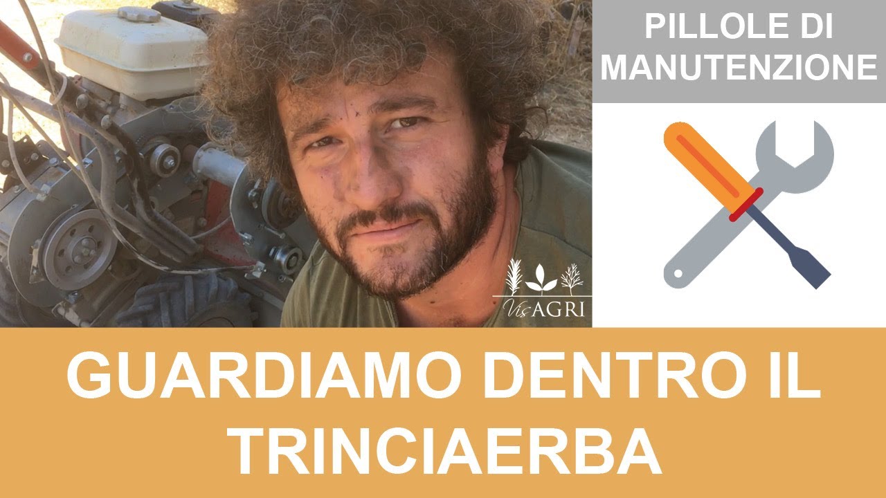 Pulizia e manutenzione cinghie del trinciaerba Ginko TT 680