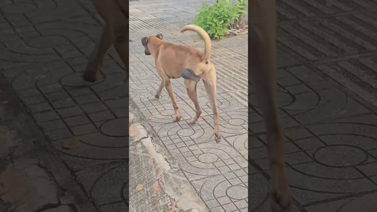 در باغ دلم تازه گلی سر زدو گم شد🤪🤪🤪