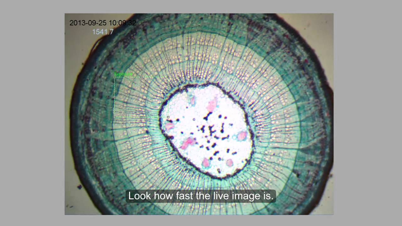 AmScope - Controlling Frame Rate for MU Series Camera on ToupView