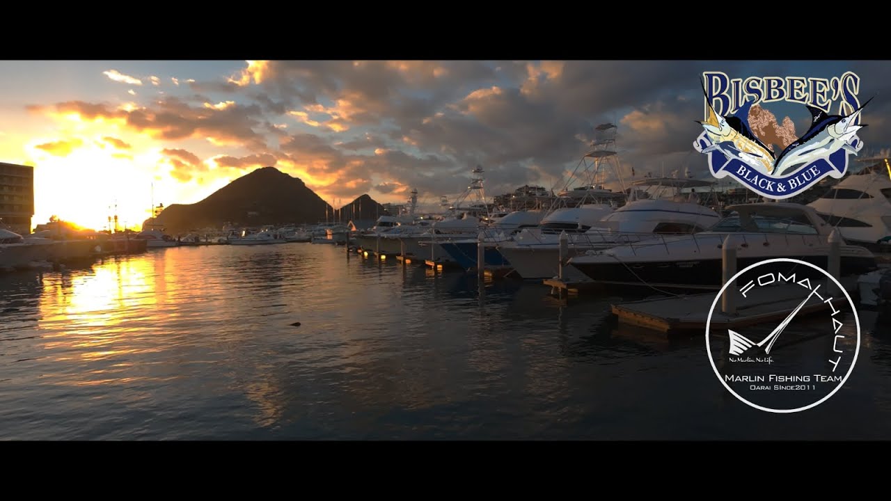 BISBEE'S Black&Blue2023  【Never Give Up】/  Fomalhaut Marlin and Fishing Club