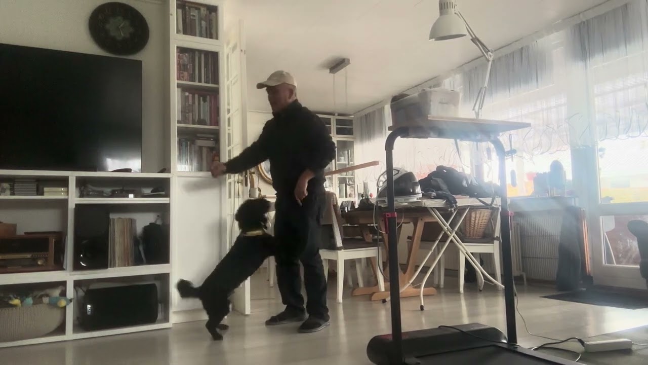 I asked our dog to give me hug before he got his cookie.
