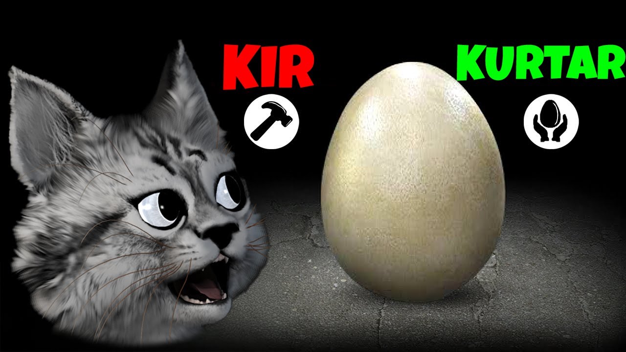 BU OYUNUN 100 FARKLI SONU VAR! AKLIMI KAÇIRIYORUM🧠😱