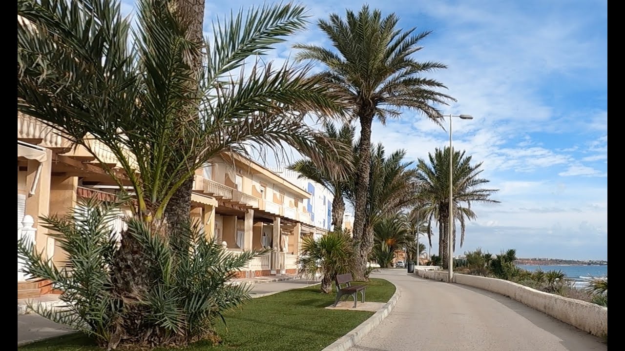 Mil Palmeras Costa Blanca