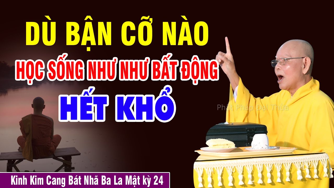 Học Cách Sống Như Như Bất Động Để Hết Khổ | Kinh Kim Cang Bát Nhã Ba La Mật kỳ 24 - HT.Từ Thông