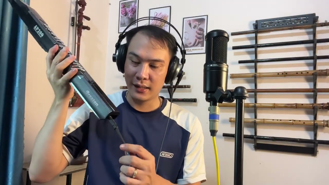 Đập hộp và review kèn điện tử Greaten AP300 màu đen gửi về Hưng Yên
