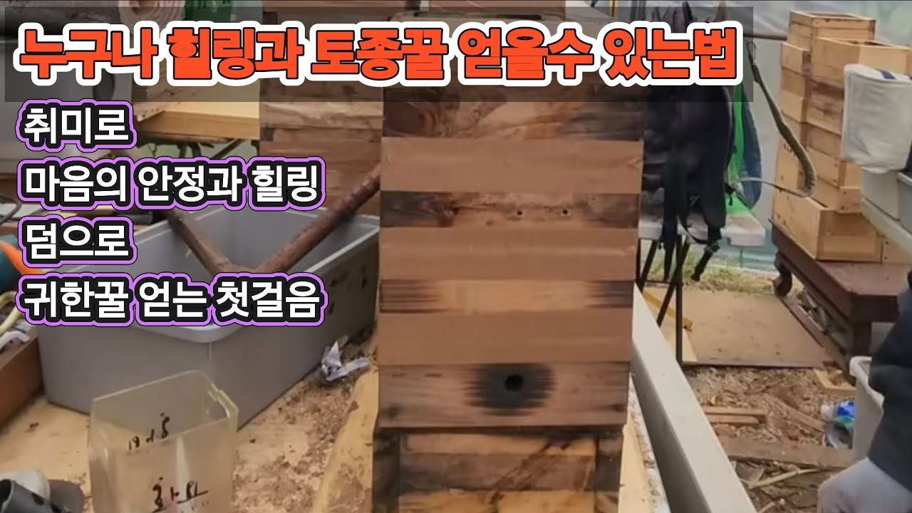 힐링과꿀 두가지를 얻는 첫걸음! 초보토종벌 받는 노하우 전수! 확률 높은 사각벌통 제작방법(요청 영상입니다) #토종벌 #bee
