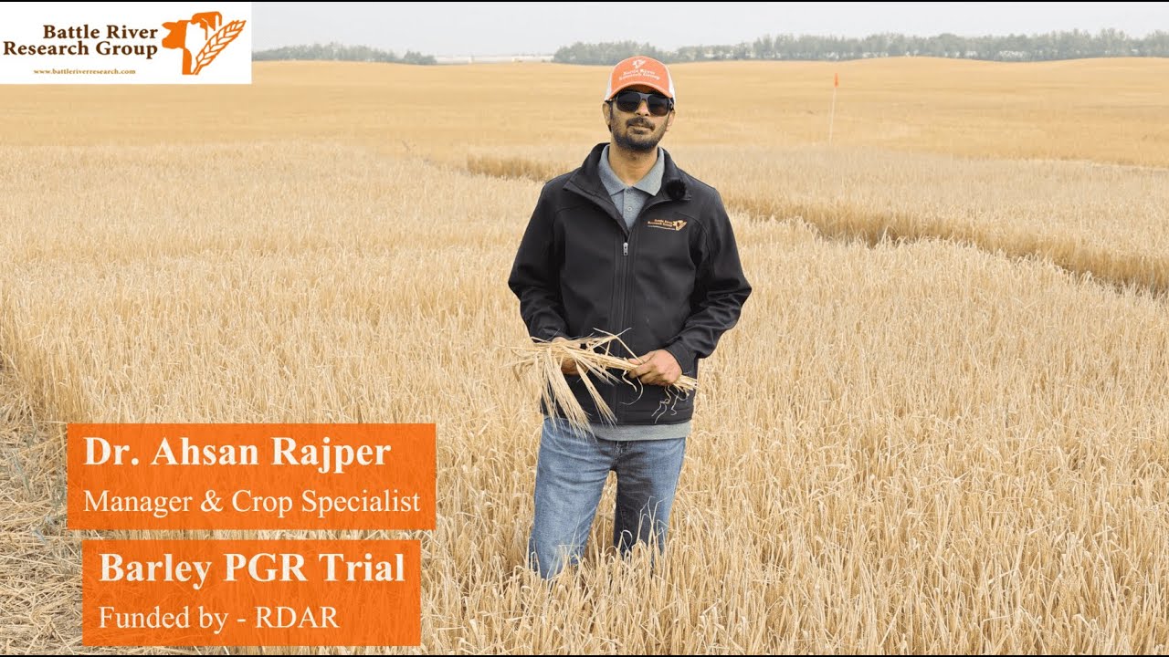 Feed Barley Demonstration: PGR and N rate effects on lodging and yield