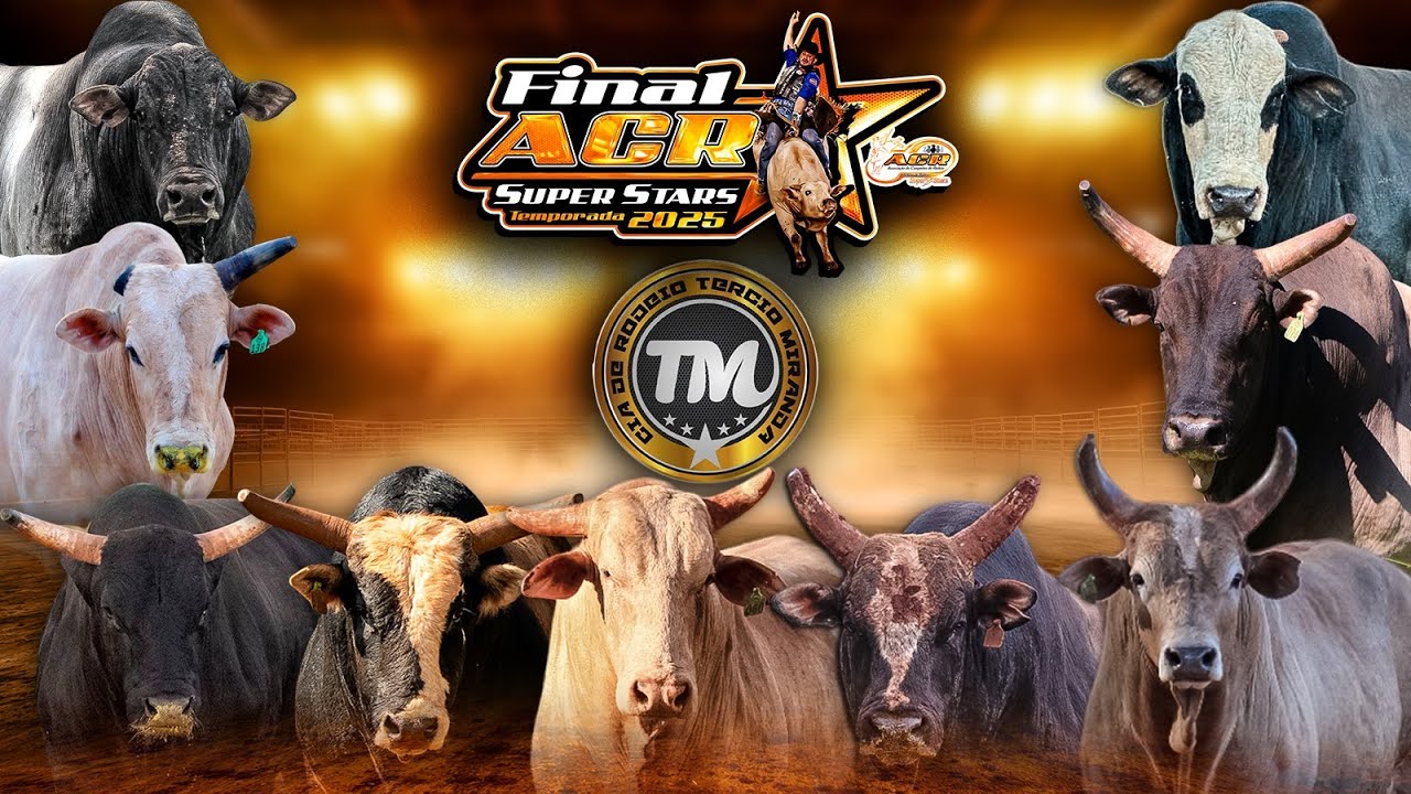ATLETAS de PULOS da CIA TÉRCIO MIRANDA (FINAL NACIONAL ACR SUPER STARS 2025)