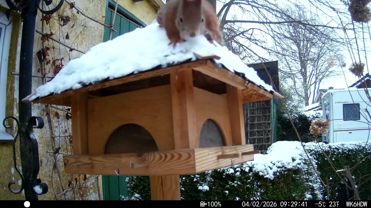 48 Stunden am Vogelhaus, die Highlights