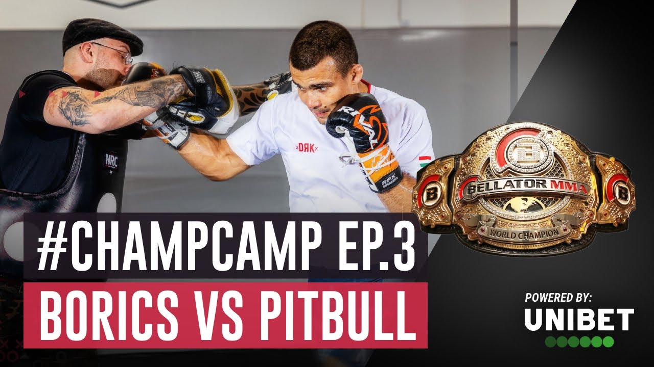 Champ Camp Episode 3 Pitbull Vs Borics