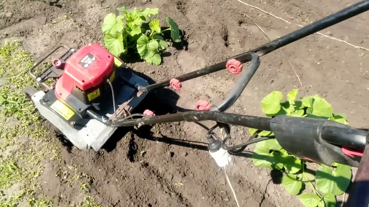 Электро культиватор модернизированный. Междурядная обработка почвы.