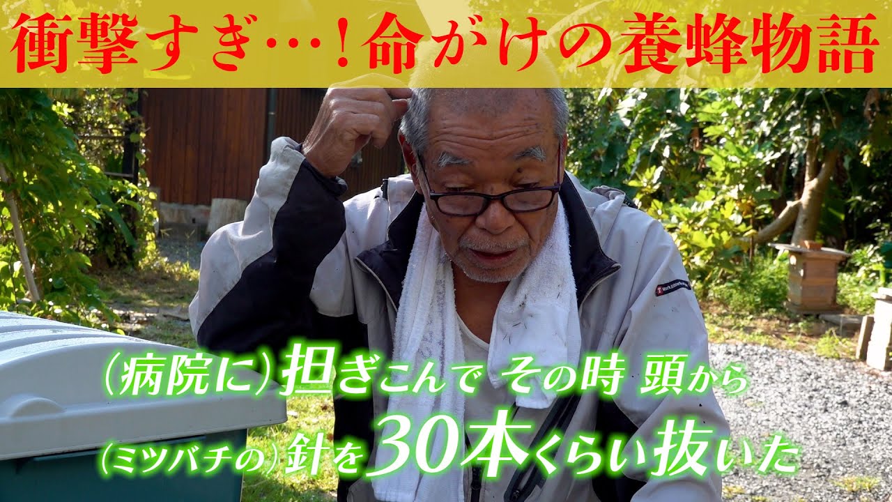 衝撃すぎ…！命がけの養蜂物語