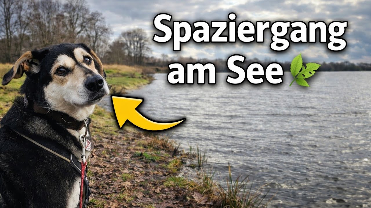 An diesen super tollen Platz