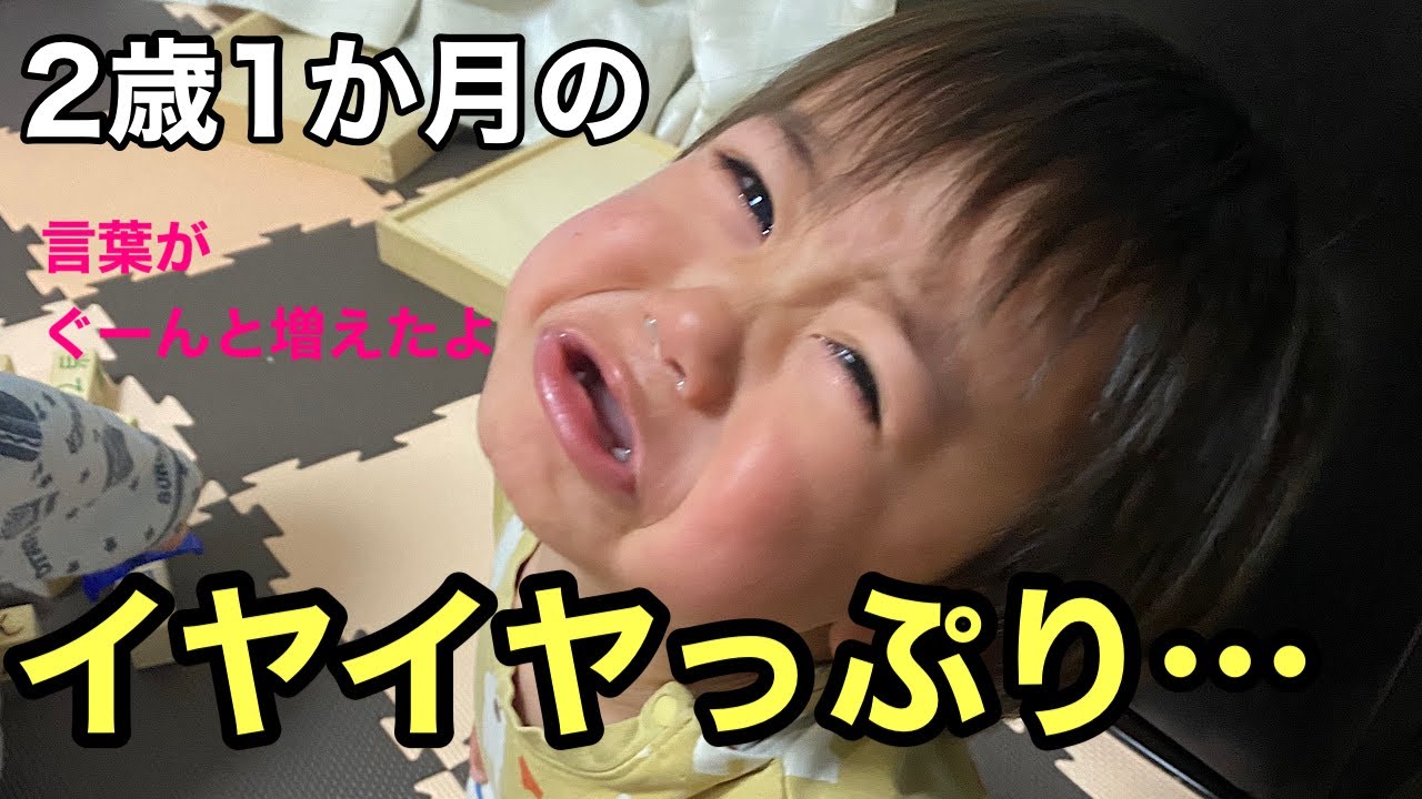 【２歳】最強イヤイヤ期の２歳１か月になったおうすけ君【親バカ動画】