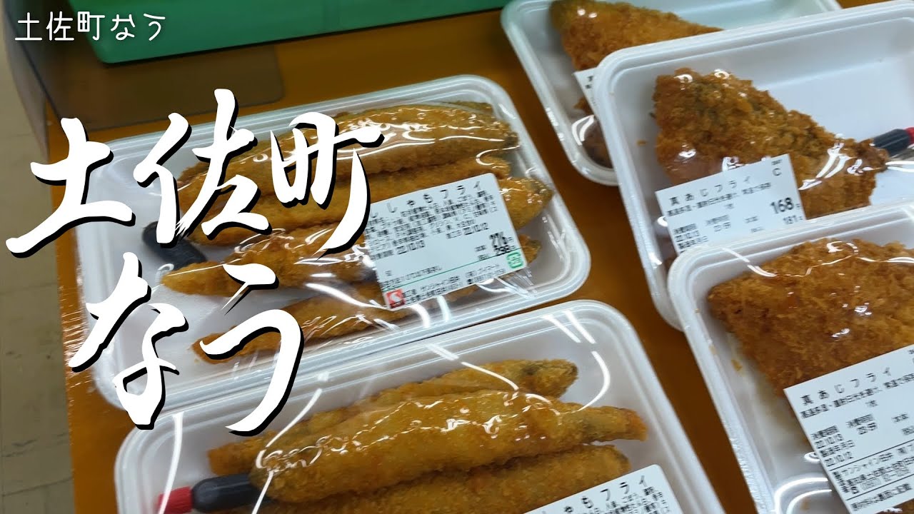 サンシャイン田井に行ってみる「土佐町なう 」/ 高知県土佐町　地域おこし・移住・林業・農業・田舎暮し