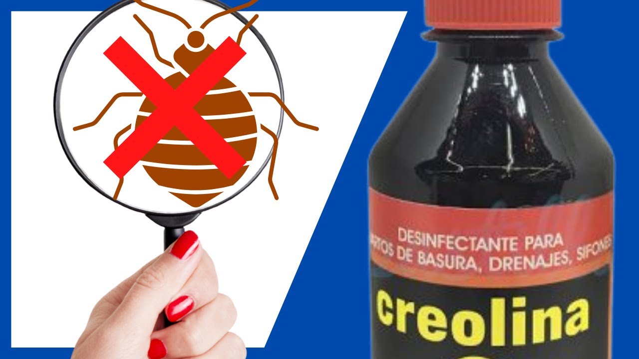 ⭐ Como Usar Creolina para Chinches de Cama ⭐