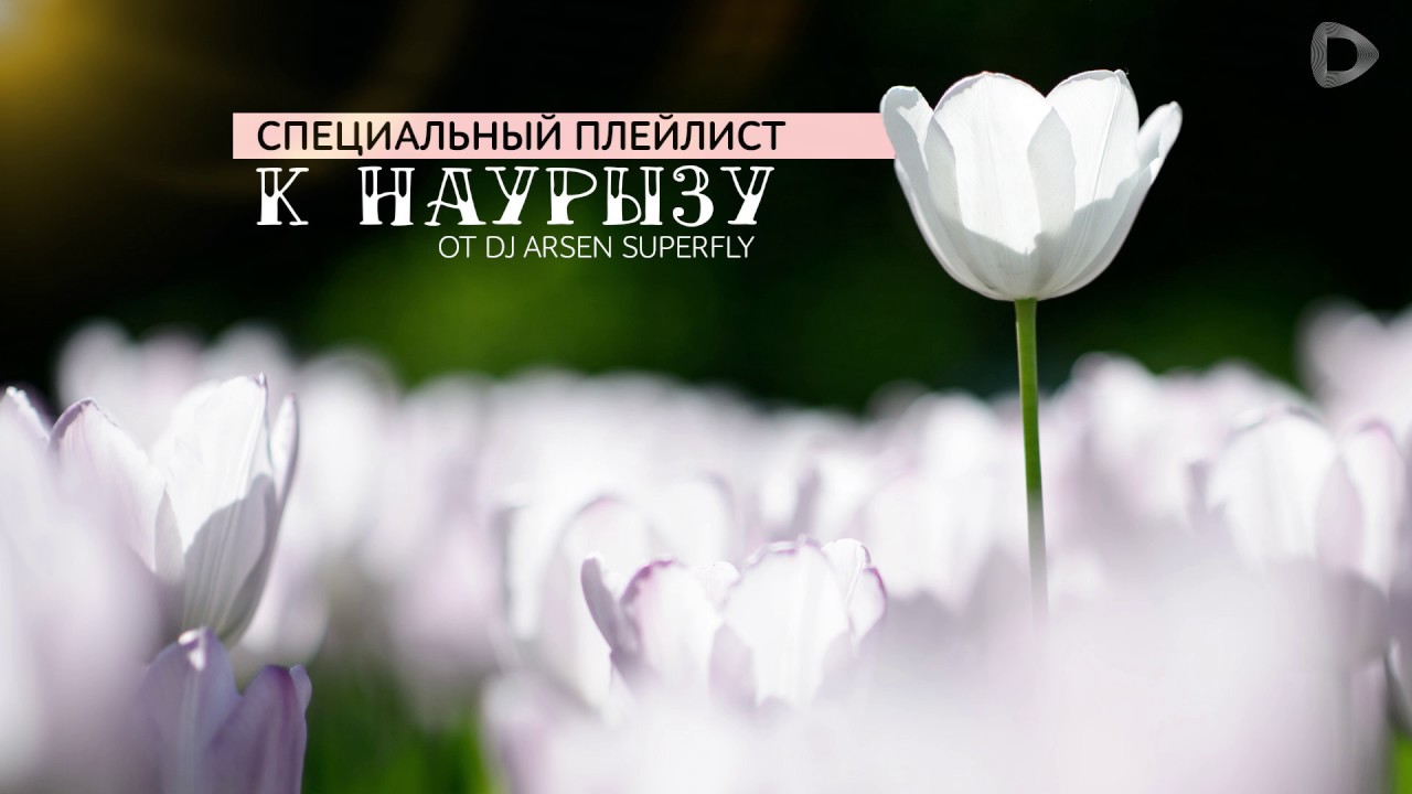 Dalatunes: плейлист к Наурызу — DJ Arsen Superfly (Арсен Рысдаулетов)