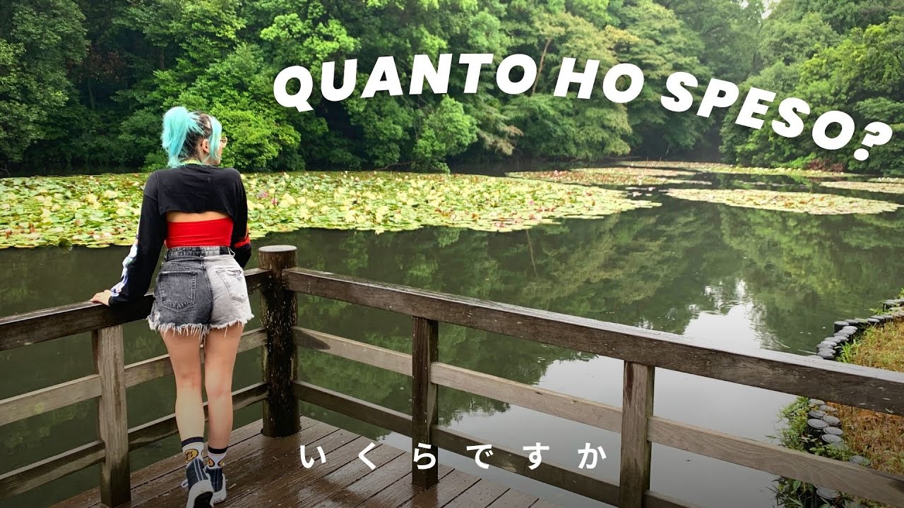Come organizzare un VIAGGIO in GIAPPONE