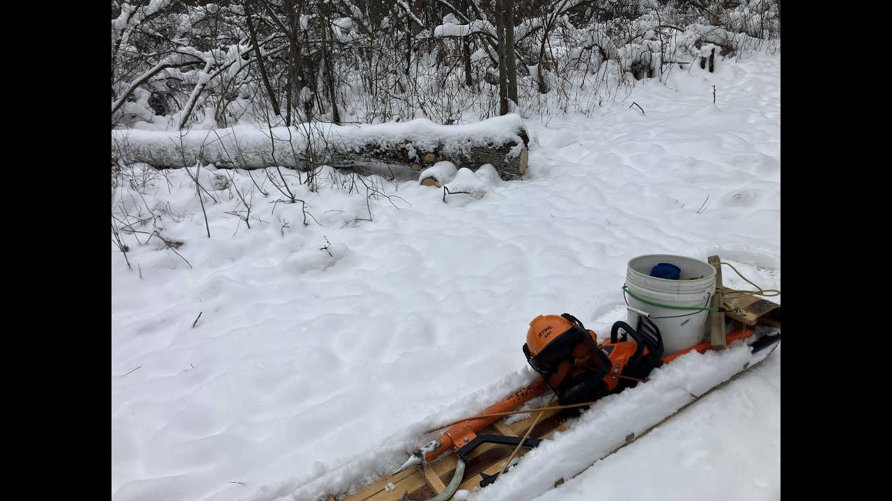 Echo CD3510, swail trail wind damaged trees, Jan 4, 2026
