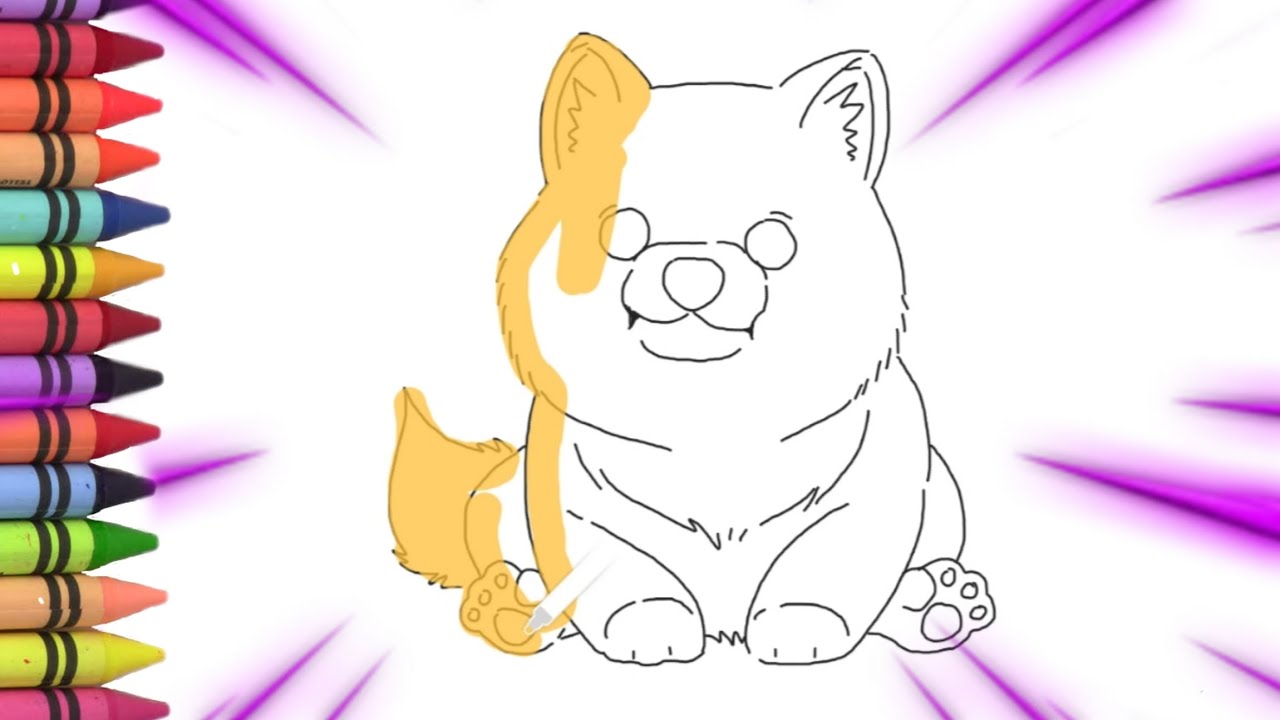 Menggambar, melukis dan mewarnain anjing gemes