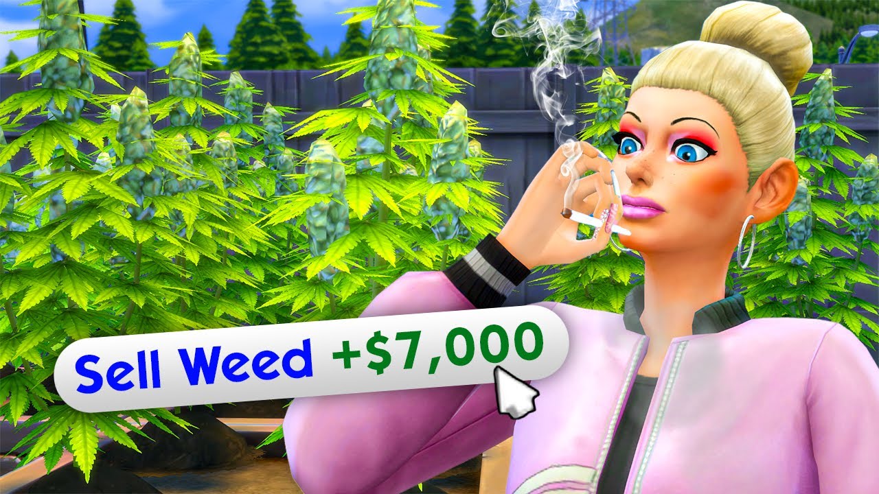 Можно ли разбогатеть, управляя фермой по выращиванию каннабиса в The Sims 4?