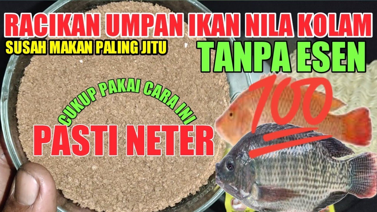 RACIKAN UMPAN IKAN NILA KOLAM SUSAH MAKAN|| PALING JITU @Merto Mancing