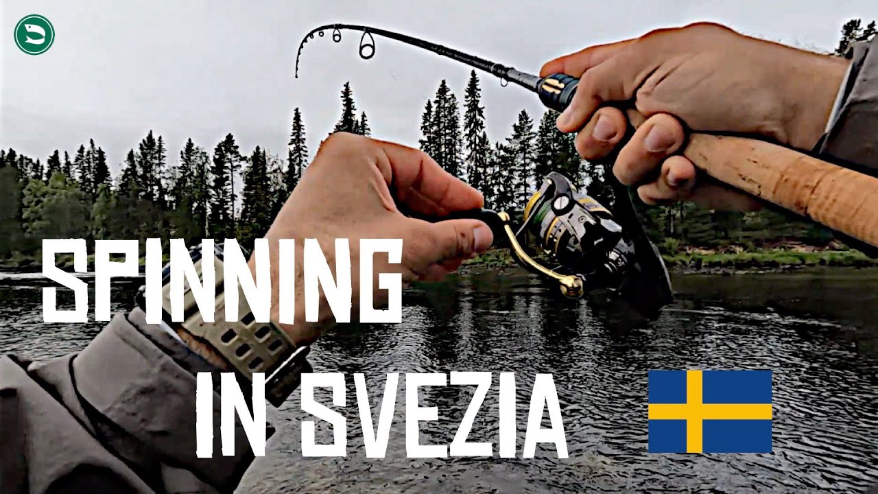 PESCA in SVEZIA: 4 Specie Con Un Solo ARTIFICIALE!