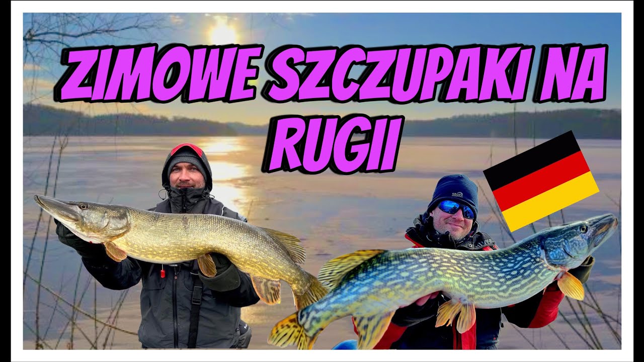 Zimowe szczupaki na Rugii