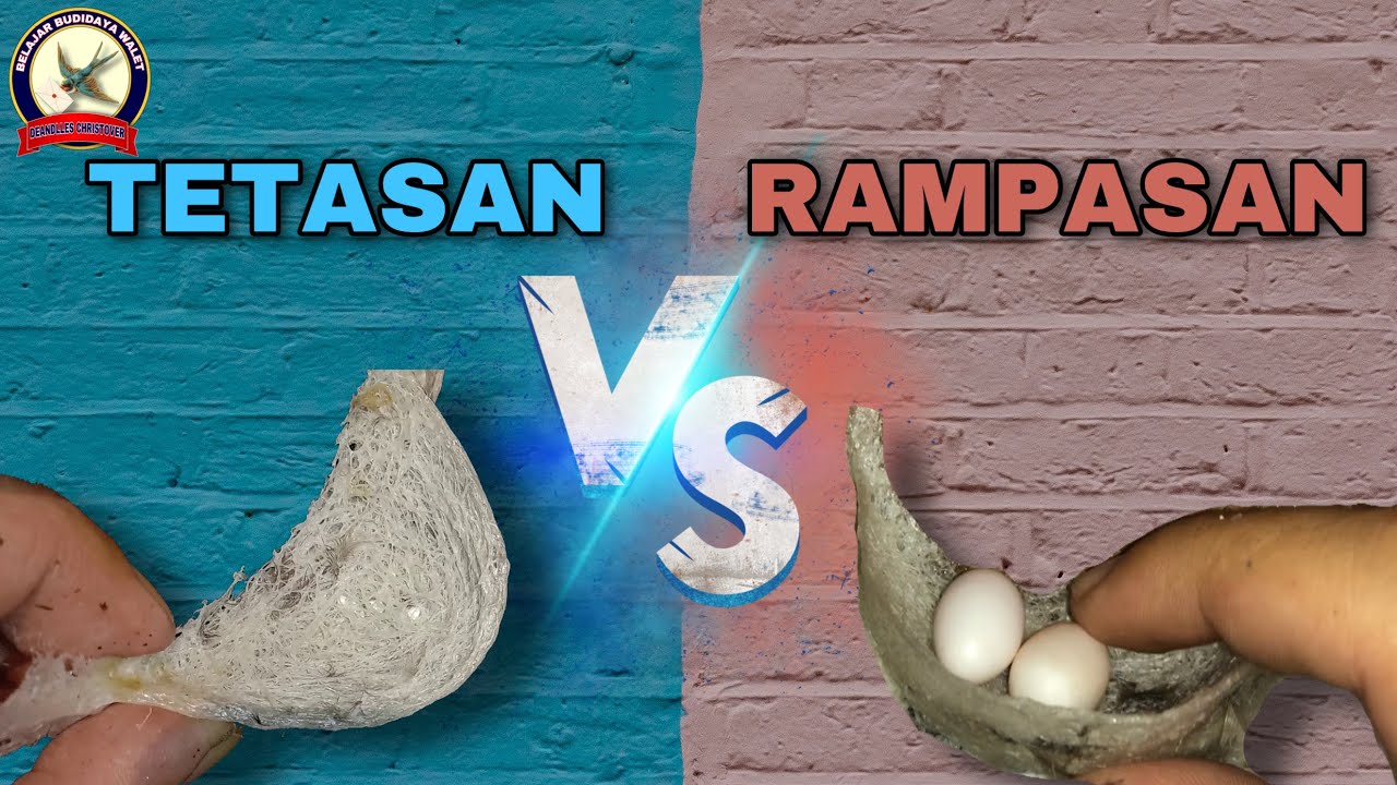 Panen Rampasan Meningkatkan Populasi ?