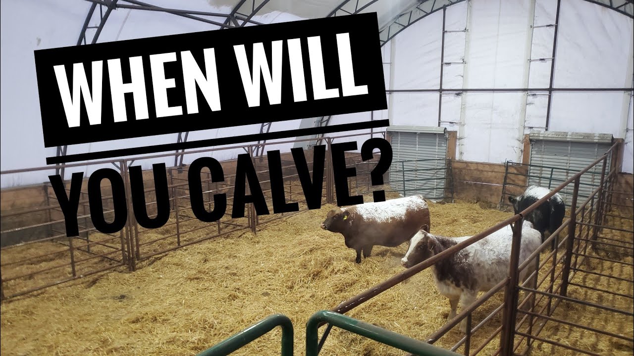 Calving Barn is ready go.
