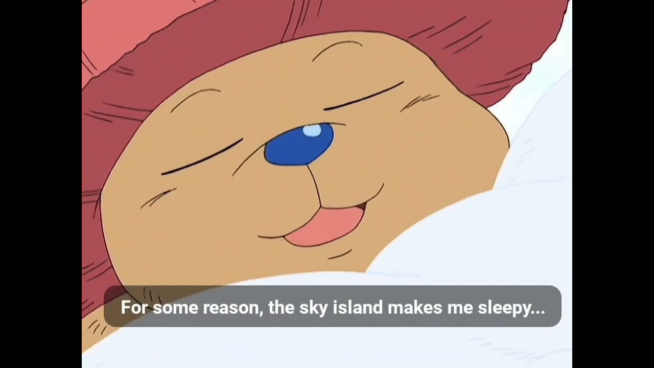chopper cute moments