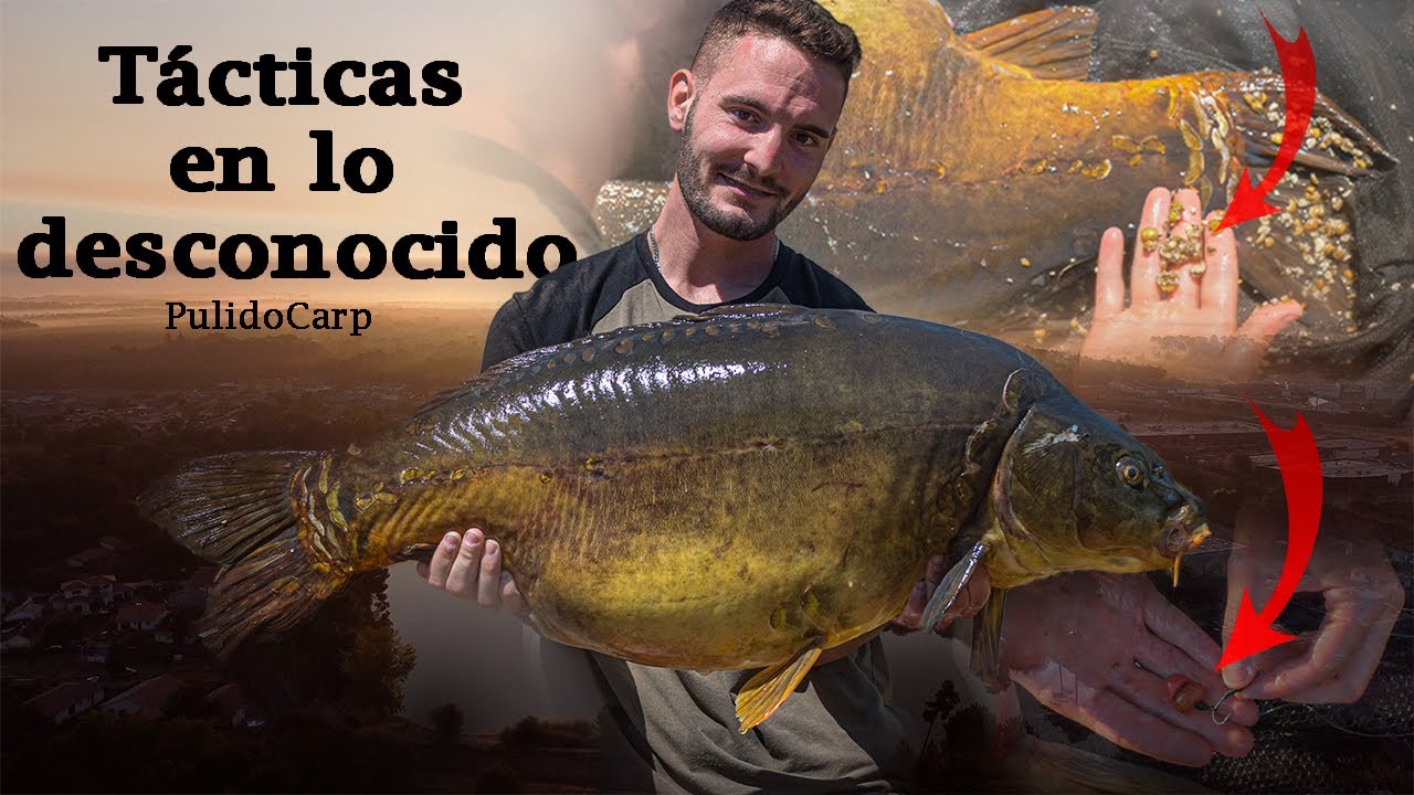 ¿Qué TÁCTICAS usamos en lo DESCONOCIDO? - CARPFISHING Lac de La Forest