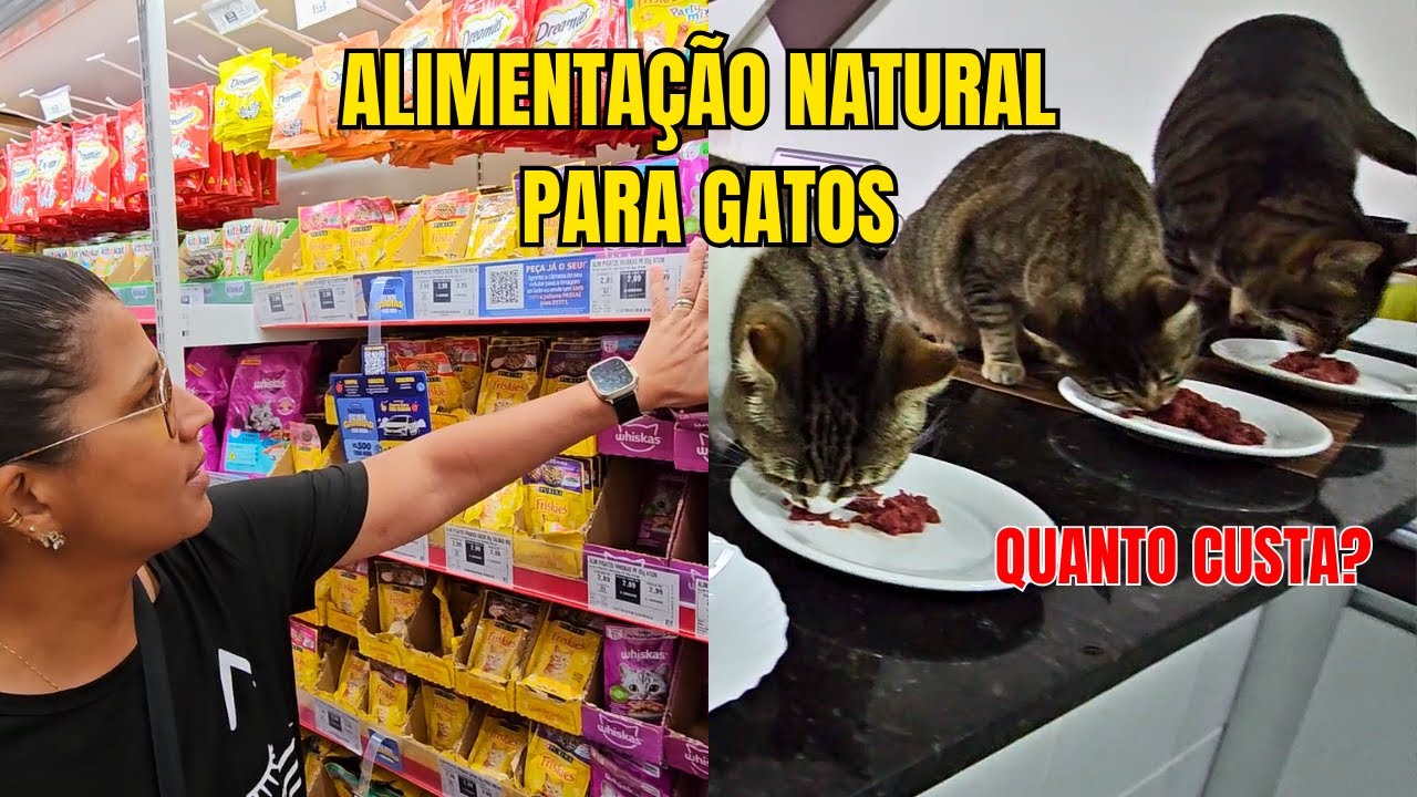 ALIMENTAÇÃO NATURAL PARA GATOS  -  BARATO OU CARO