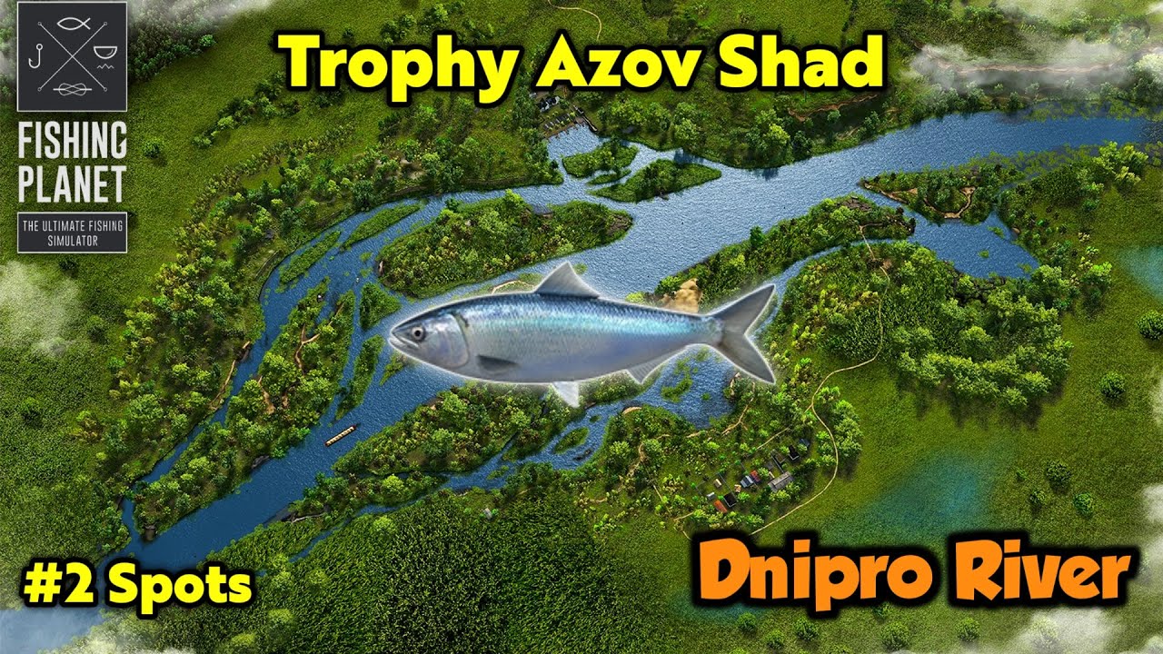 Trophy Azov Shad Dnipro River - Fishing Planet