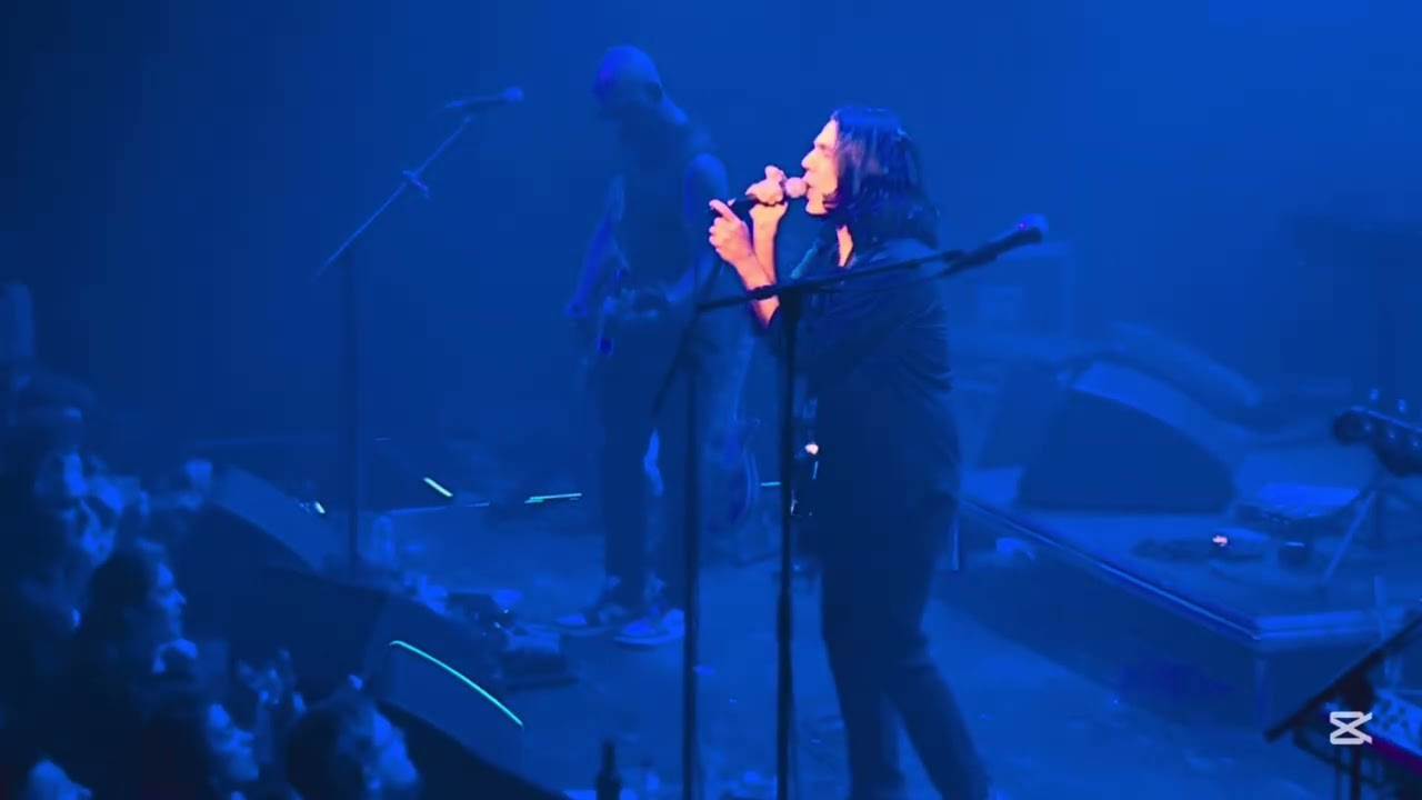 אביב גדג׳ - כתם לידה מחדש, בארבי 22.4