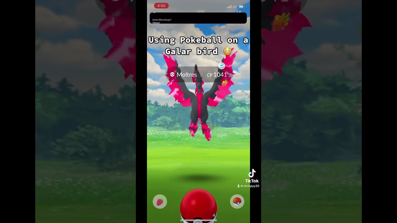 Pokeballing a Galar bird