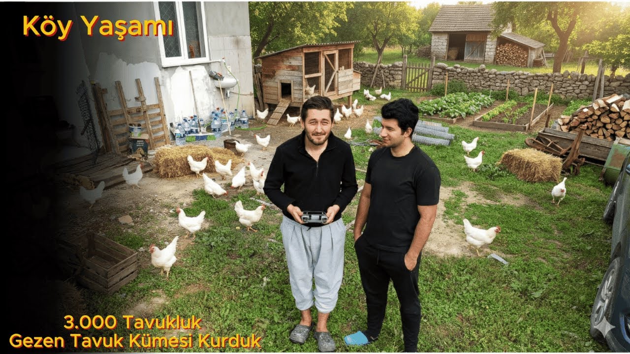 Koyun Ahırını 3.000 Tavukluk K&uuml;mese &Ccedil;evirmek! 3 Aylık &Ccedil;iftlik Ser&uuml;venimizde Neler Yaşadık?