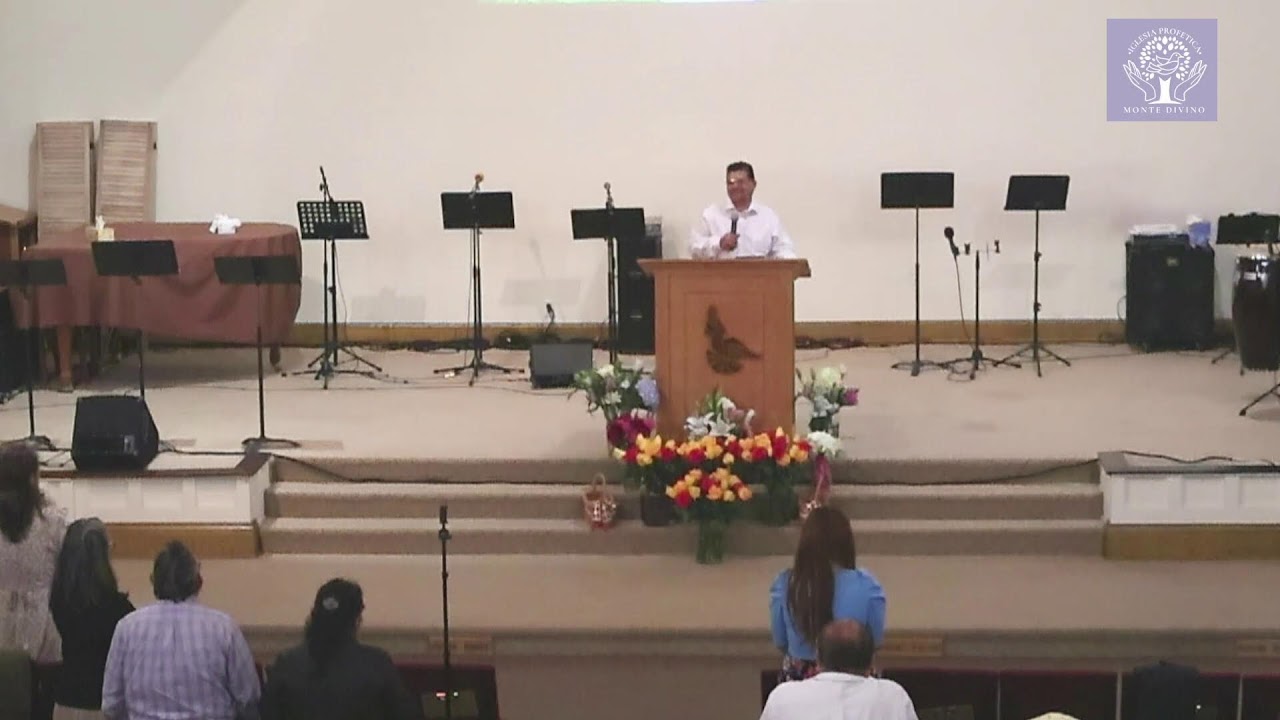 Domingo de servicio 03/08/26