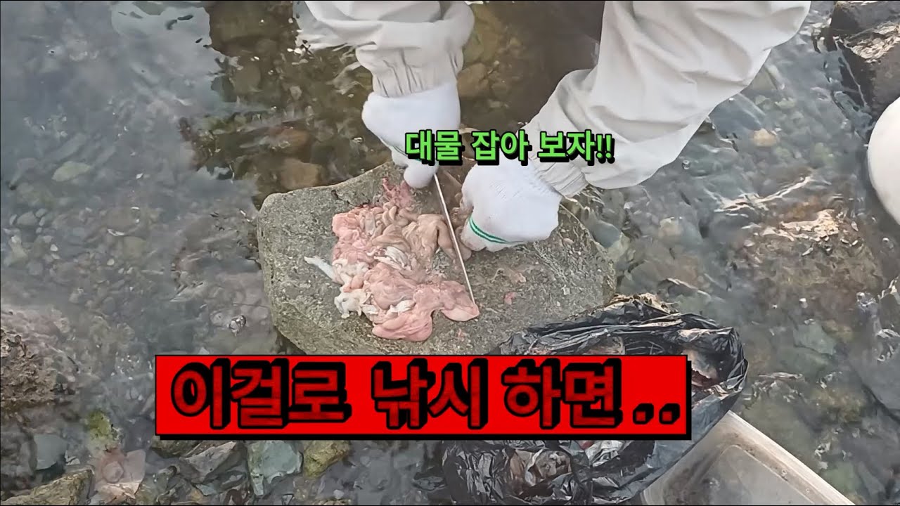 이걸로 낚시 하면...
