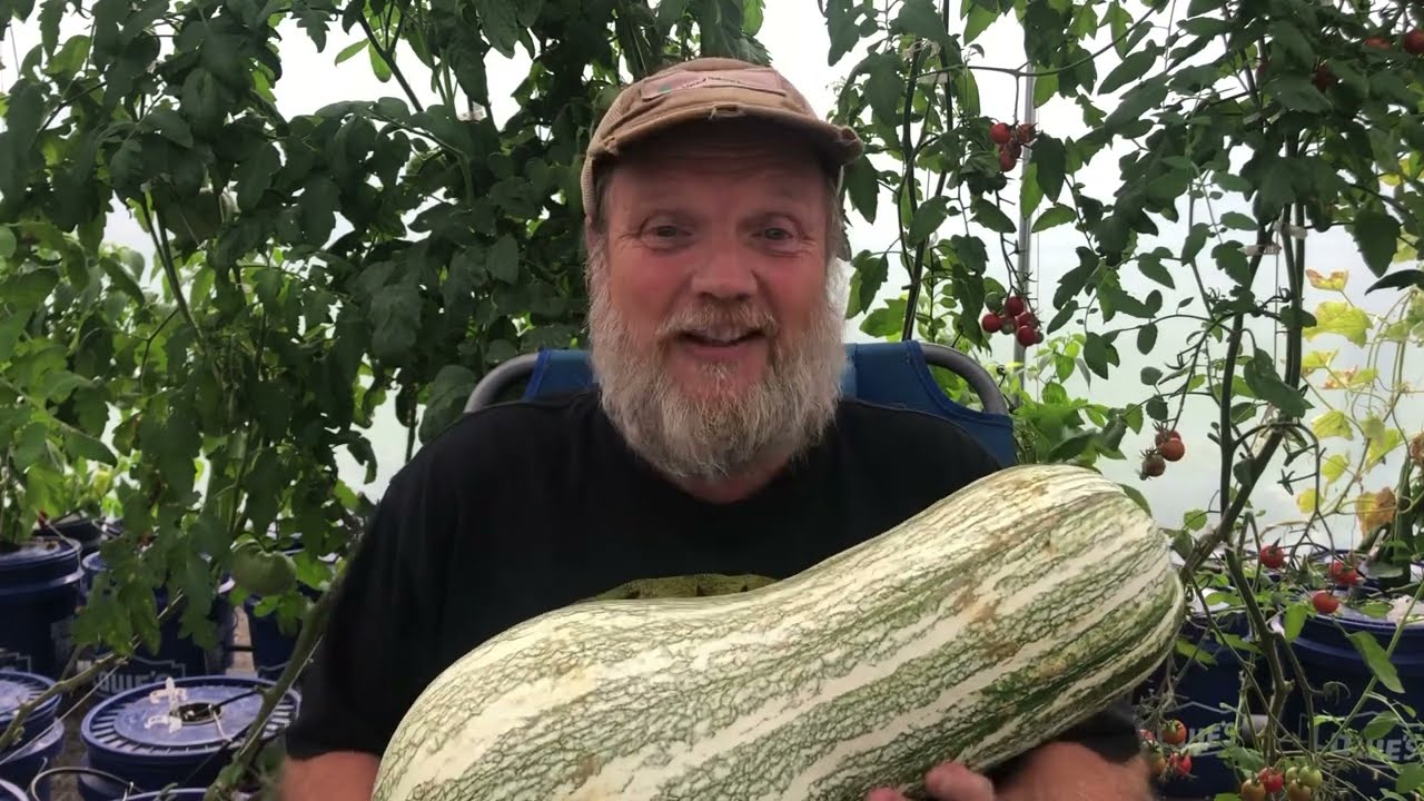 The #1 Squash to grow in your garden during times of food shortages.