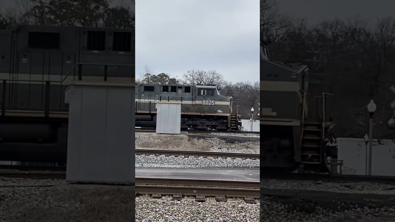 NS 8025 Monongahela heritage unit leads NS 182 02.17.2024 #shorts #norfolksouthern #train #nstrains