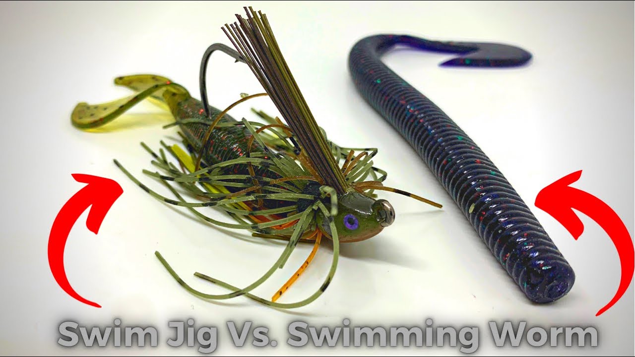 Swim Jig Vs. Swimming Worm